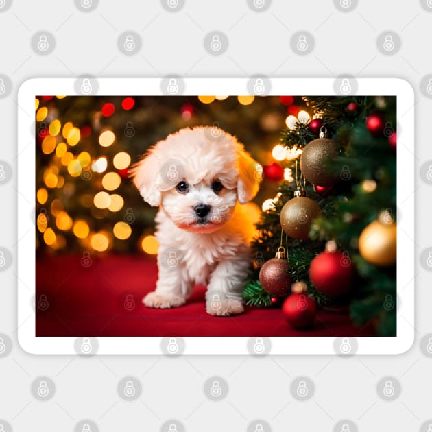 Cute Bichon Frise Puppy Dog Christmas Magnet by nicecorgi